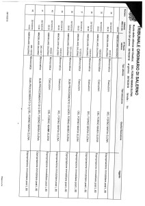 tribunale-di-salerno-ruolo-sezione-immobiliare-30-10-18-4